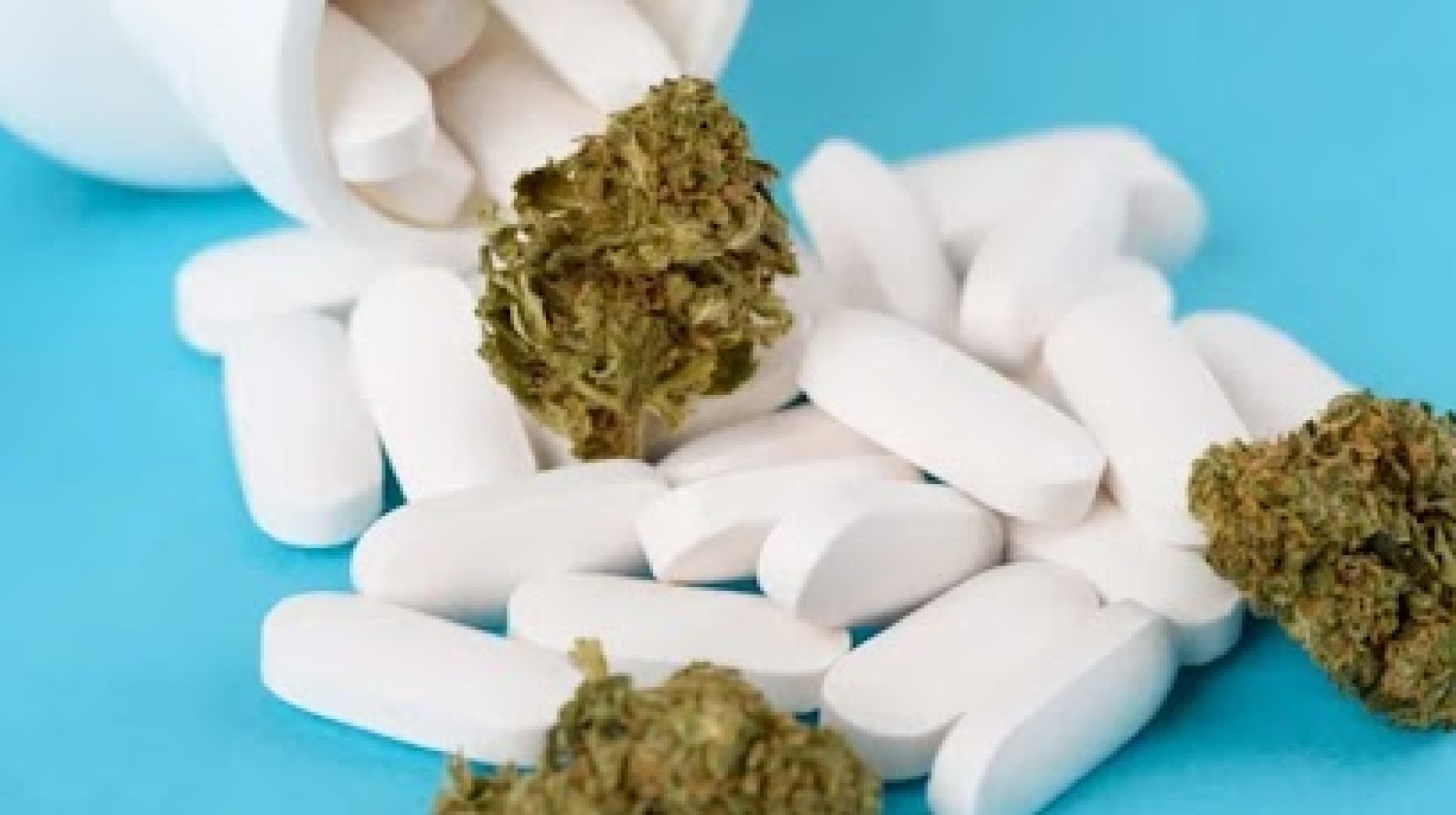 Cannabis substitui medicamentos para ansiedade e depressão como a sertralina