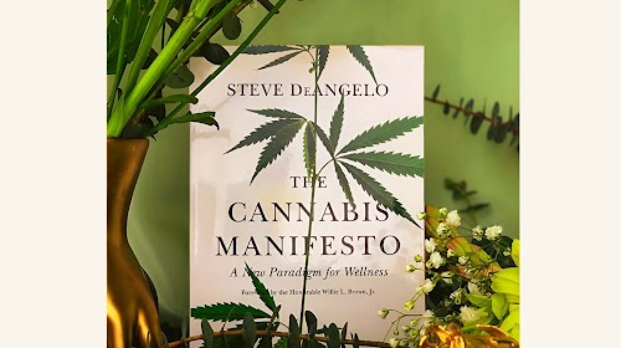 CITAÇÕES DO LIVRO DE STEVE DEANGELO PARA INSPIRAR SEU MANIFESTO