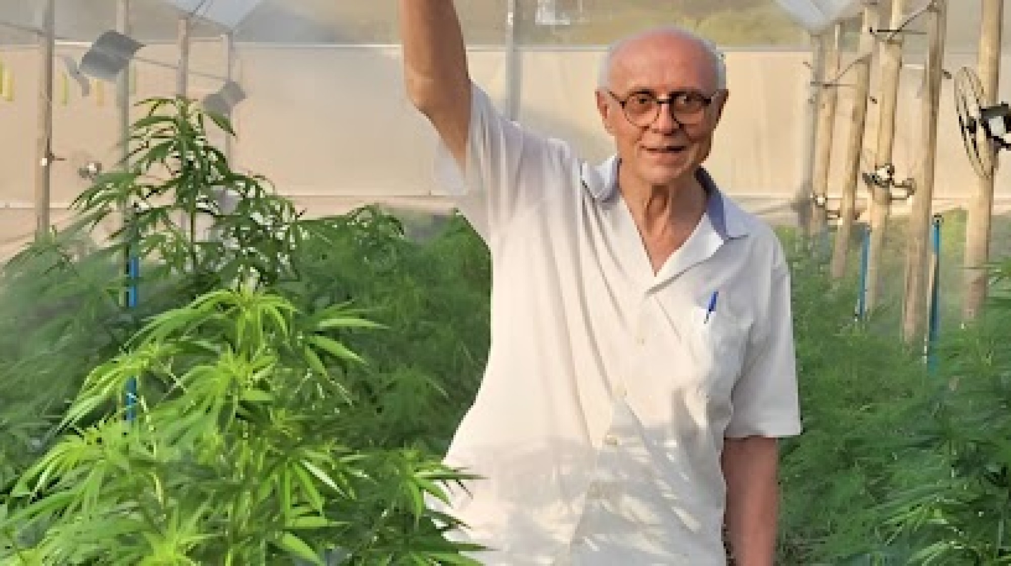 Em entrevista para revista Veja, Eduardo Suplicy fala sobre seu tratamento com a Cannabis para o Parkinson e indica que todos devem ter acesso, inclusive pelo SUS