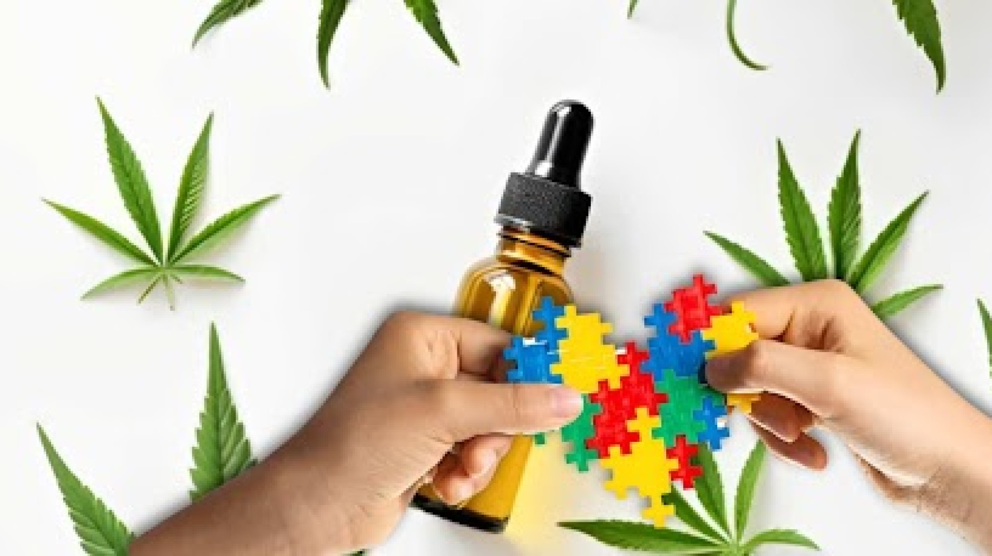 Estudos clínicos com a cannabis para o autismo revelam o grande interesse da comunidade científica em comprovar os resultados