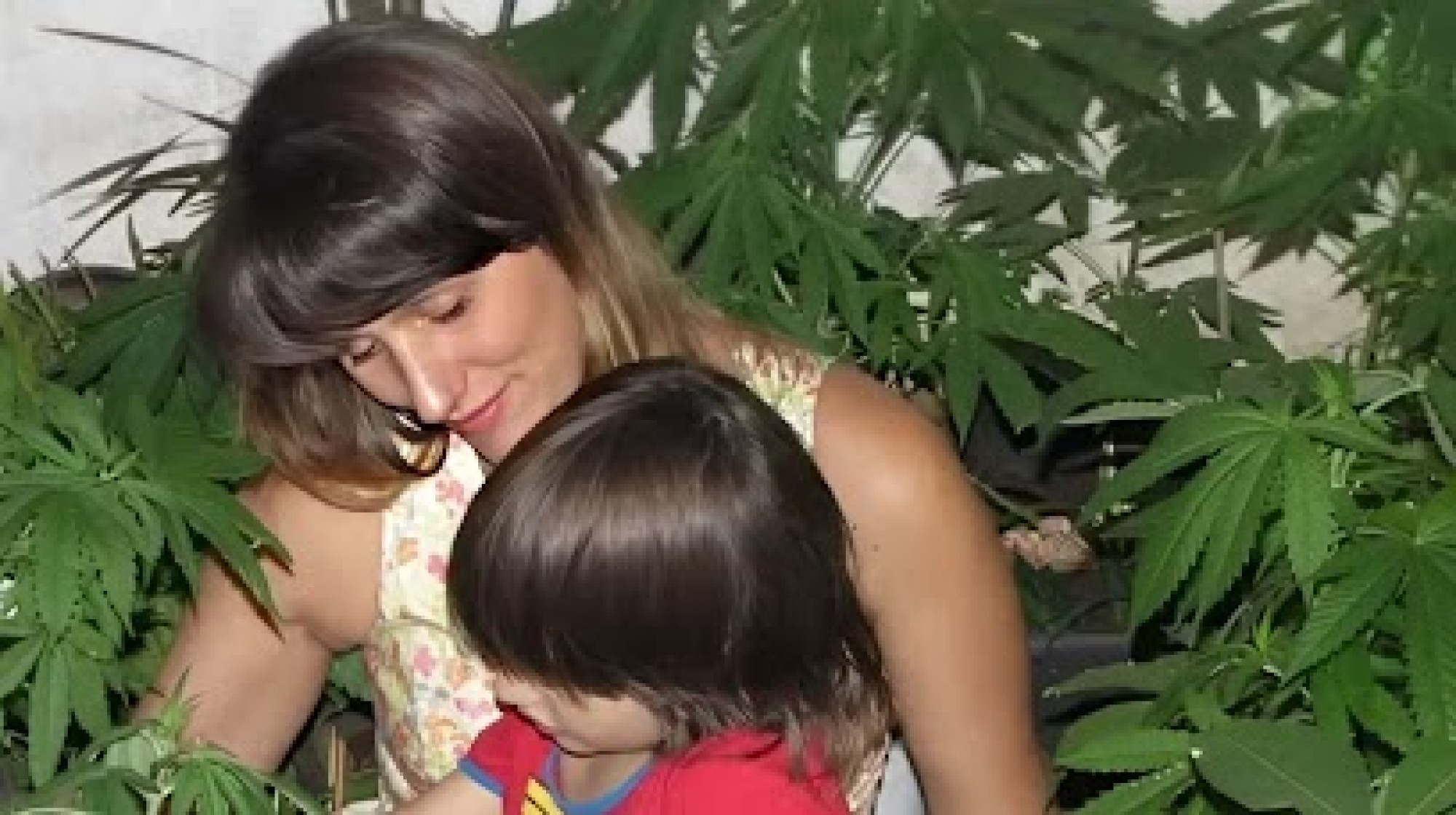 Mãe acusada de tráfico, conquista habeas corpus permanente para cultivar cannabis medicinal para tratar filha autista